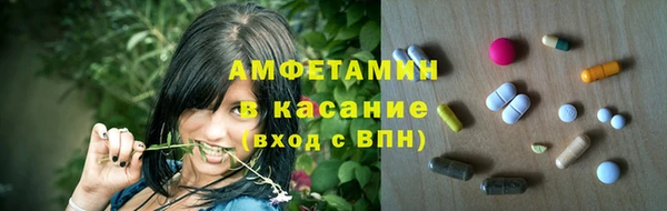 прущие грибы Балабаново