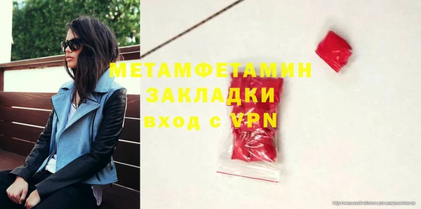 прущие грибы Балабаново
