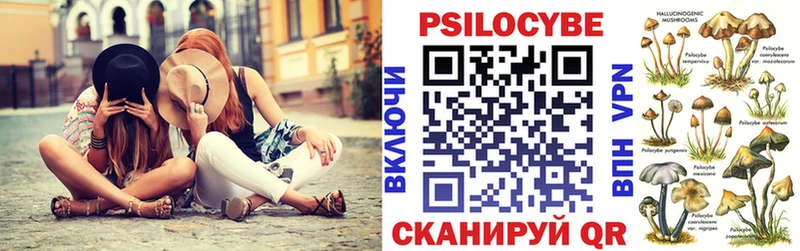 Галлюциногенные грибы Psilocybe  Геленджик 